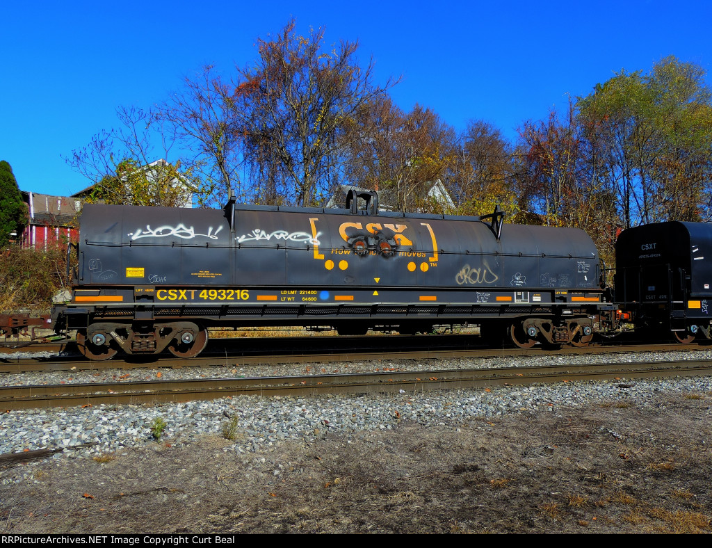 CSX 493216